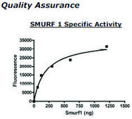 SMURF1 Active human recombinant, expressed in baculovirus infected insect cells, &#8805;80% (SDS-PAGE)