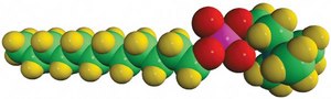 MAPCHO&#8482;-12-d38 dodecyl phosphocholine-d38, powder