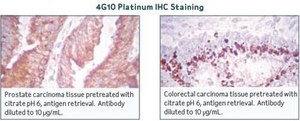 4G10&#174; Platinum, Anti-Phosphotyrosine Antibody (mouse monoclonal cocktail IgG2b) clone 4G10®, Upstate&#174;, from mouse