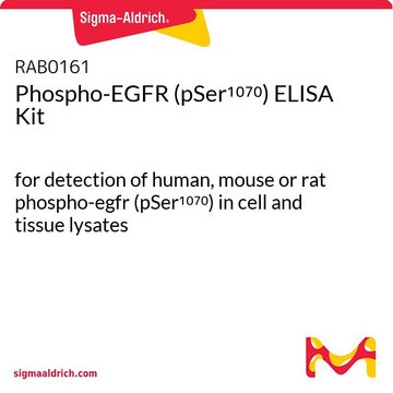 Phospho-EGFR (pSer1070) ELISA Kit for detection of human, mouse or rat phospho-egfr (pSer1070) in cell and tissue lysates