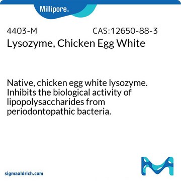 Lysozyme, Chicken Egg White Native, chicken egg white lysozyme. Inhibits the biological activity of lipopolysaccharides from periodontopathic bacteria.