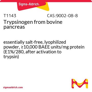 Trypsinogen from bovine pancreas essentially salt-free, lyophilized powder, &#8805;10,000&#160;BAEE units/mg protein (E1%/280, after activation to trypsin)