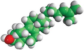 zymosterol Avanti Research&#8482; - A Croda Brand