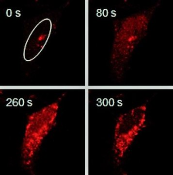 BioTracker 664 NIR Ca2+ AM Dye Live cell imaging calcium (Ca2+) indicator for neuroscience and cancer applications.