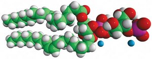 18:1 PI(3)P Avanti Research&#8482; - A Croda Brand