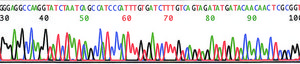 GenElute&#8482; PCR Clean-Up Kit sufficient for 70&#160;purifications