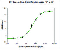 Erythropoietin (EPO) human recombinant, expressed in HEK 293 cells, suitable for cell culture
