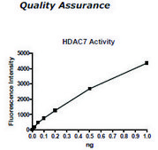 HDAC-7 human recombinant, expressed in baculovirus infected insect cells, &#8805;70% (SDS-PAGE)