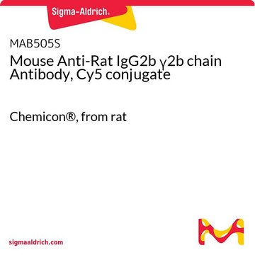 Mouse Anti-Rat IgG2b &#947;2b chain Antibody, Cy5 conjugate Chemicon&#174;, from rat