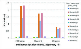 Anti-Human IgA antibody, Rabbit monoclonal recombinant, expressed in HEK 293 cells, clone RM128, purified immunoglobulin