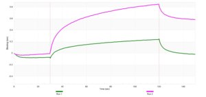 Anti-Arylsulfatase A Antibody, clone 2C19 ZooMAb&#174; Rabbit Monoclonal recombinant, expressed in HEK 293 cells