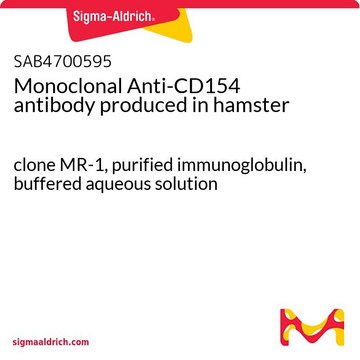 Monoclonal Anti-CD154 antibody produced in hamster clone MR-1, purified immunoglobulin, buffered aqueous solution