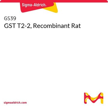 GST T2-2, Recombinant Rat