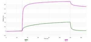 Anti-ARPC5 Antibody, clone 1H16 ZooMAb&#174; Rabbit Monoclonal recombinant, expressed in HEK 293 cells