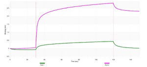 Anti-SHP-1/PTPN6 Antibody, clone 1D20 ZooMAb&#174; Rabbit Monoclonal recombinant, expressed in HEK 293 cells