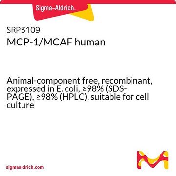 MCP-1/MCAF human Animal-component free, recombinant, expressed in E. coli, &#8805;98% (SDS-PAGE), &#8805;98% (HPLC), suitable for cell culture