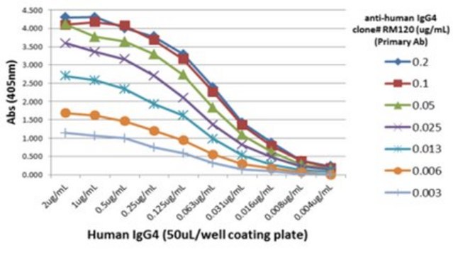 Rabbit-Anti-Human IgG4 Antibody, clone RM120 clone RM120, from rabbit