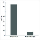 Anti-phospho-LEF-1 (pSer42) antibody produced in rabbit affinity isolated antibody