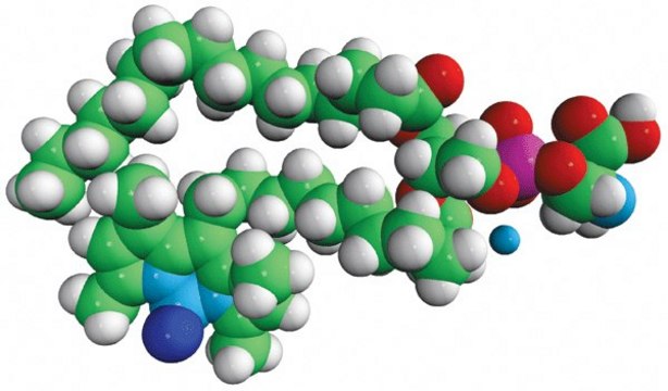 TopFluor&#8482; PS Avanti Research&#8482; - A Croda Brand 810283P, powder