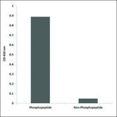 Anti-phospho-LIMK1 (pThr508) antibody produced in rabbit affinity isolated antibody