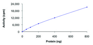 VRK1, active, GST tagged human PRECISIO&#174; Kinase, recombinant, expressed in baculovirus infected Sf9 cells, &#8805;70% (SDS-PAGE), buffered aqueous glycerol solution