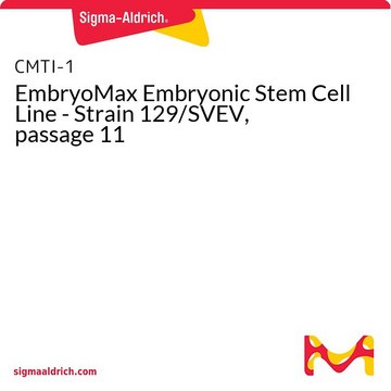 EmbryoMax Embryonic Stem Cell Line - Strain 129/SVEV, passage 11