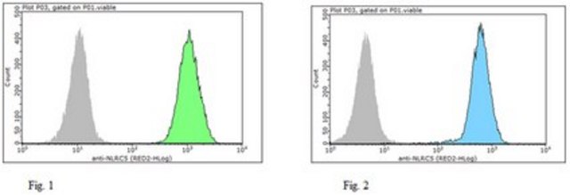 Anti-NLRC5 Antibody, clone 3H8 clone 3H8, from rat, purified by using protein G