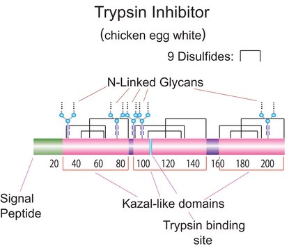 Trypsin inhibitor from chicken egg white Type II-O, Partially purified ovomucoid, containing ovoinhibitor