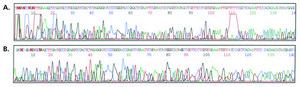 SigmaSpin&#8482; Sequencing Reaction Clean-Up post-reaction clean-up columns