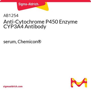 Anti-Cytochrome P450 Enzyme CYP3A4 Antibody serum, Chemicon&#174;