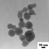 Tricalcium phosphate hydrate nanopowder, &lt;200&#160;nm particle size (BET)