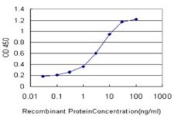 Monoclonal Anti-KDR antibody produced in mouse clone 4A2, purified immunoglobulin, buffered aqueous solution