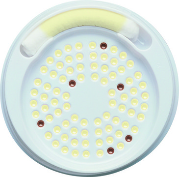 SimPlate&#174; Campylobacter CI BioControl, Detection and quantification of Campylobacter coli and Campylobacter jejuni in poultry rinses and meat