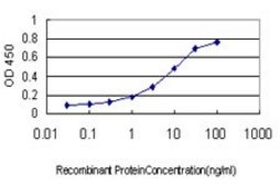 Monoclonal Anti-SFTPD antibody produced in mouse clone 2C10, purified immunoglobulin, buffered aqueous solution