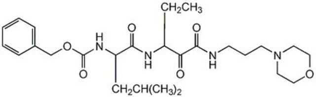 Calpain Inhibitor XI The Calpain Inhibitor XI, also referenced under CAS 145731-49-3, controls the biological activity of Calpain. This small molecule/inhibitor is primarily used for Protease Inhibitors applications.