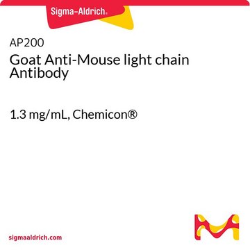 Goat Anti-Mouse light chain Antibody 1.3&#160;mg/mL, Chemicon&#174;