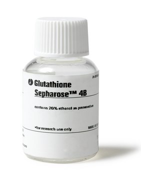 Glutathione Sepharose&#8482; 4B Cytiva 17-0756-05, pack of 100&#160;mL