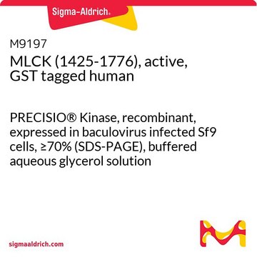 MLCK (1425-1776), active, GST tagged human PRECISIO&#174; Kinase, recombinant, expressed in baculovirus infected Sf9 cells, &#8805;70% (SDS-PAGE), buffered aqueous glycerol solution