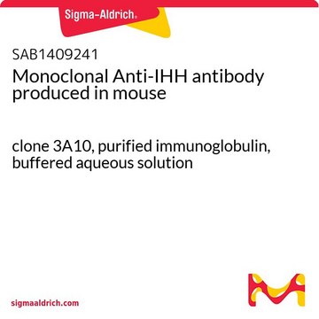 Monoclonal Anti-IHH antibody produced in mouse clone 3A10, purified immunoglobulin, buffered aqueous solution