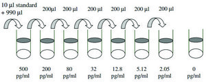 Human MIP-3 &#946; / CCL19 ELISA Kit for serum, plasma, cell culture supernatant and urine