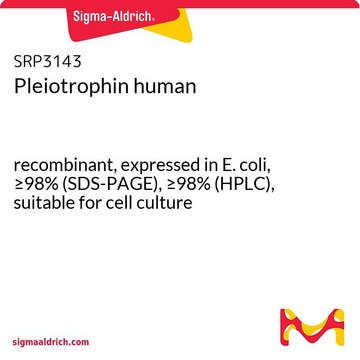 Pleiotrophin human recombinant, expressed in E. coli, &#8805;98% (SDS-PAGE), &#8805;98% (HPLC), suitable for cell culture