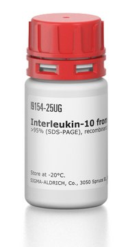 Interleukin-10 from rat &gt;95% (SDS-PAGE), recombinant, expressed in E. coli, lyophilized powder