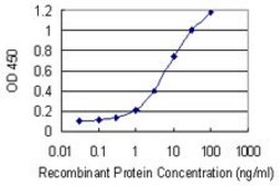Monoclonal Anti-SLC18A1 antibody produced in mouse clone 3A2-E10, purified immunoglobulin, buffered aqueous solution