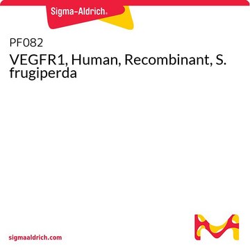 VEGFR1, Human, Recombinant, S. frugiperda