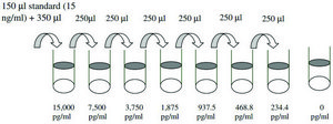 Rat CINC-1 ELISA Kit for serum, plasma and cell culture supernatant