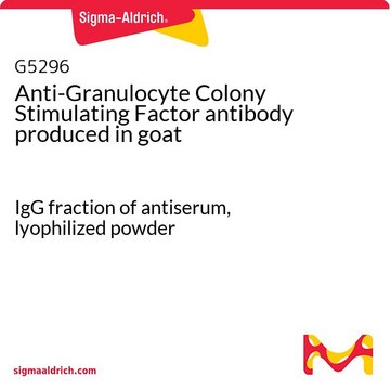 Anti-Granulocyte Colony Stimulating Factor antibody produced in goat IgG fraction of antiserum, lyophilized powder