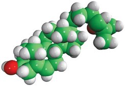 24(S),25-époxycholestérol Avanti Research&#8482; - A Croda Brand