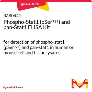 Phospho-Stat1 (pSer727) and pan-Stat1 ELISA Kit for detection of phospho-stat1 (pSer727) and pan-stat1 in human or mouse cell and tissue lysates