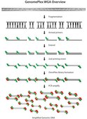 GenomePlex&#174; Whole Genome Amplification (WGA) Kit Kit for whole genome amplification from a variety of DNA sources including FFPE tissue