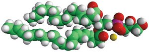16:0-22:6 PG 1-palmitoyl-2-docosahexaenoyl-sn-glycero-3-phospho-(1&#8242;-rac-glycerol) (sodium salt), chloroform